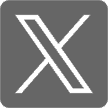 X-icon